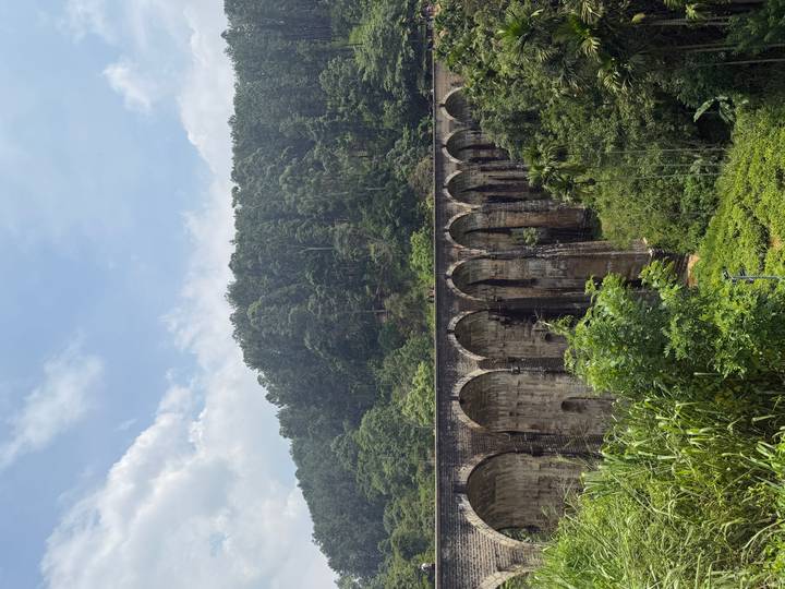 Iconic Nine-Arch railway bridge spans a green gorge amid lush forest in Sri Lanka