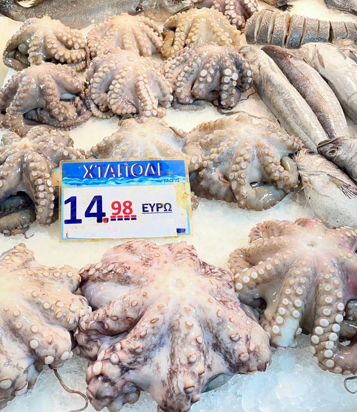 Octopus laid on crushed ice at a Greek fish market with price tag in euros