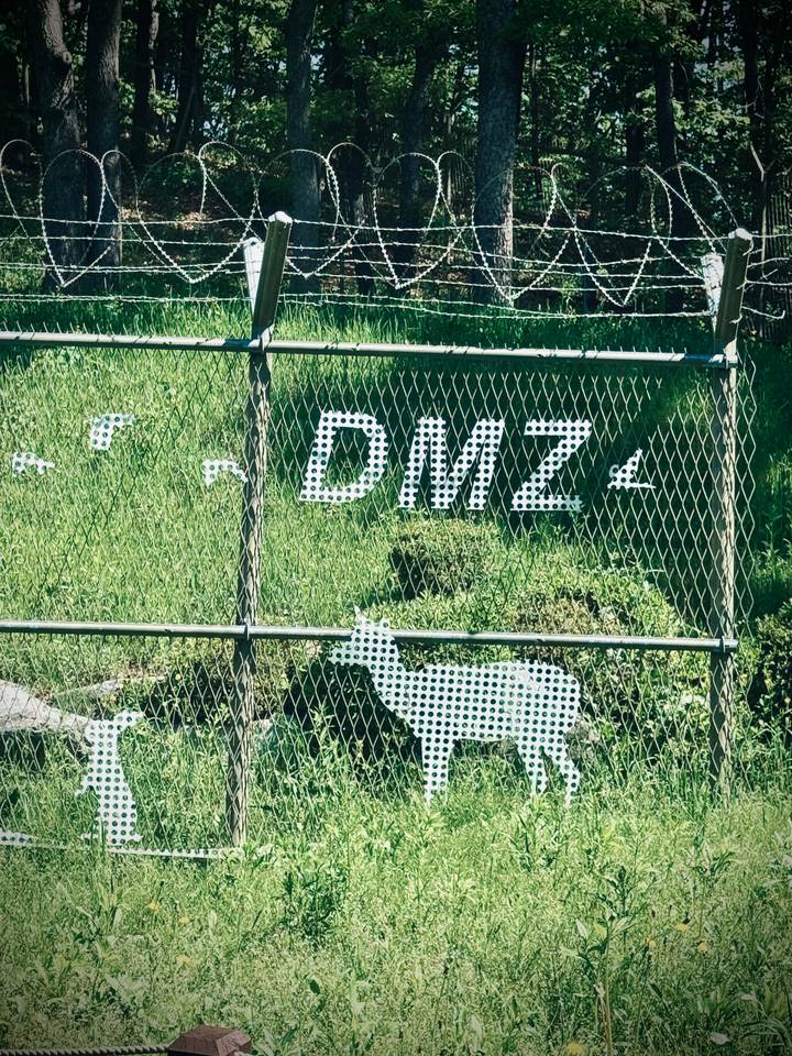 Close view of metal fence with dotted DMZ lettering against grassy background