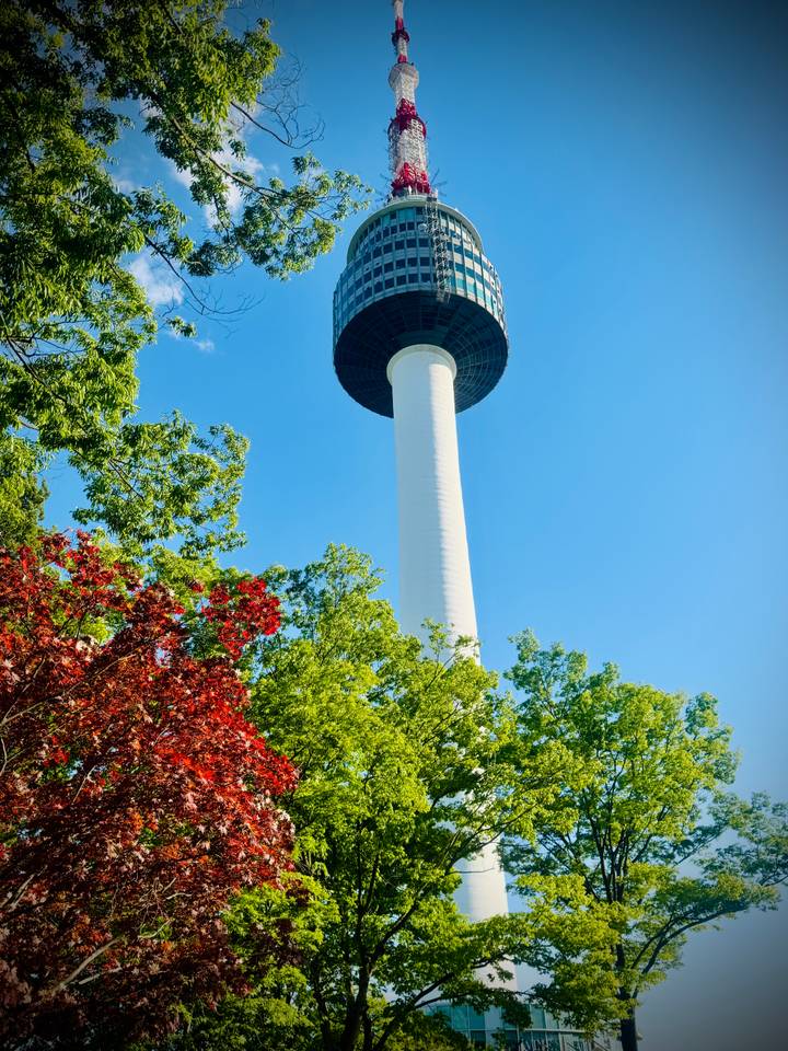 Tall white observation tower rising above colourful spring foliage against vivid blue sky