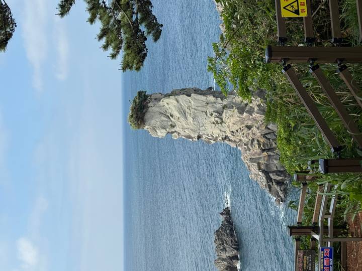 Tall narrow sea stack crowned with vegetation rising from the blue ocean near a rocky coast.