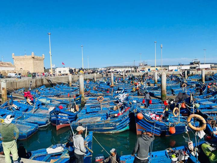 Hundreds of bright blue fishing boats crowd Essaouira’s busy harbor with a honey-coloured fort in the background.