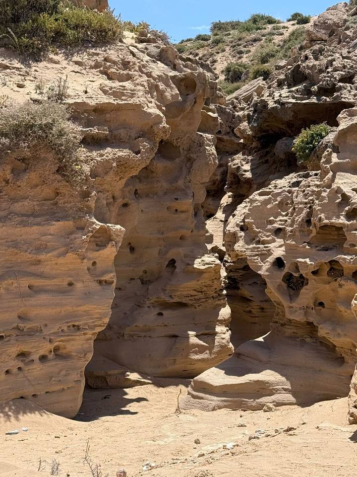 Eroded sandstone cliffs dotted with cavities and hollows under harsh sunlight.