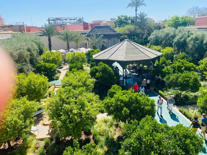 Elevated garden view of lush citrus trees and visitors exploring shaded pathways, partially obscured by a finger in the corner.