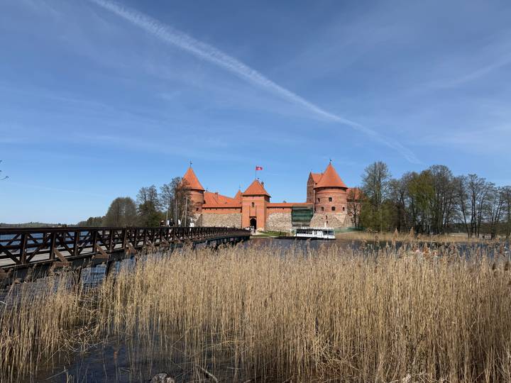 Iconic view of Trakai Castle beyond reeds and calm water under blue sky.
