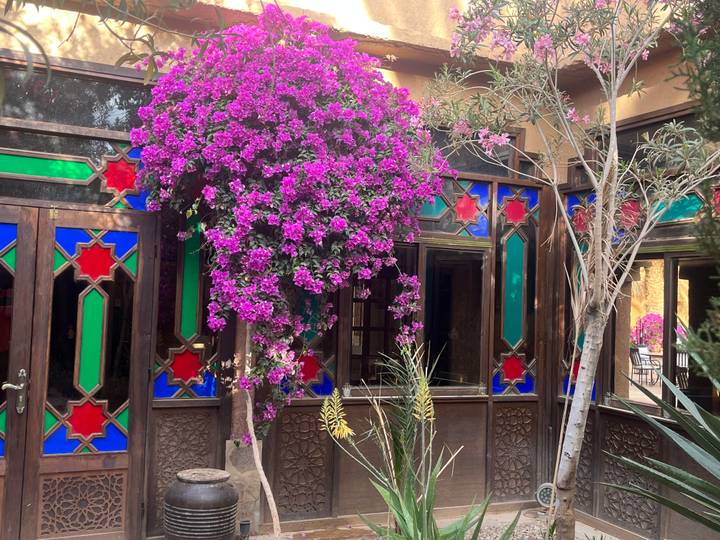 Vibrant bougainvillea cascading over a doorway with colorful Moroccan stained-glass windows.