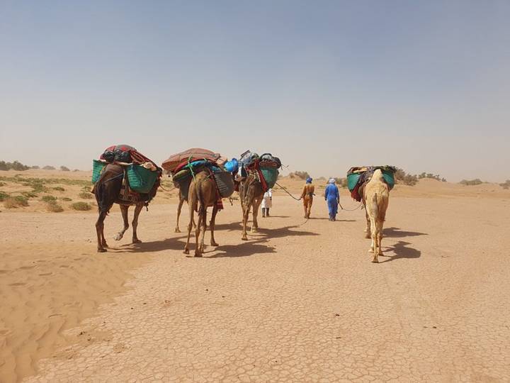 Loaded camels led across cracked desert flats by guides in traditional blue attire amid hazy skies