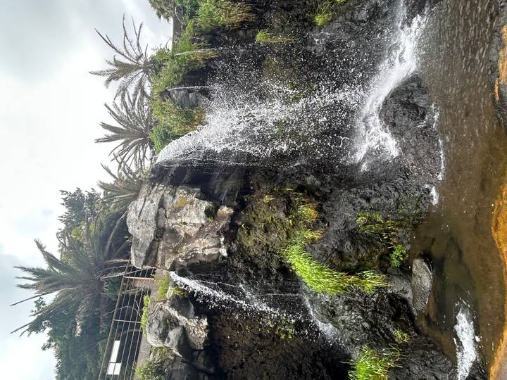 Cascading waterfall flowing over dark volcanic rock surrounded by palm trees.
