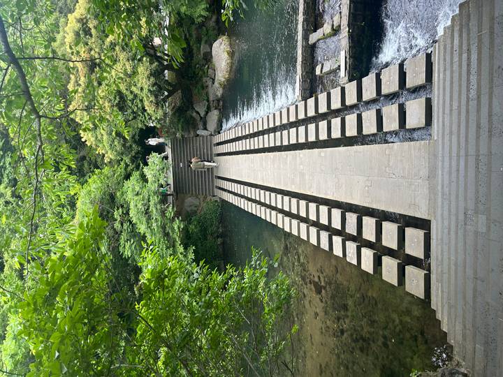 Stone stepping-block bridge crossing a shaded forest stream leading to temple grounds.