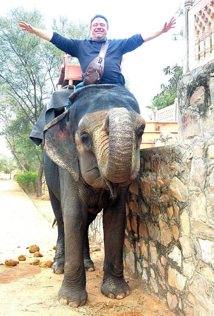Asian elephant walking beside stone wall with painted trunk markings.
