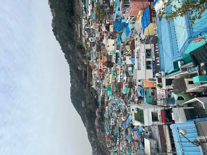 Colourful hillside houses of Gamcheon Culture Village cascade down a mountainside