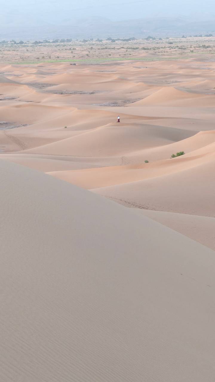 Softly curving sand dunes with subtle footsteps and sparse shrubs.