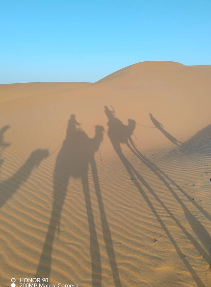 Elongated camel and rider shadows cast across rippled desert sand at golden hour.
