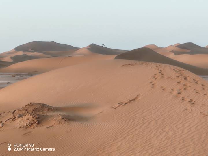 Series of sandy ridges with solitary camel silhouette on the horizon of the dunes.