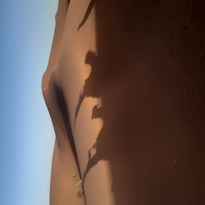 Silhouettes of camel caravan riders projected on the side of a smooth sand dune under clear blue sky.