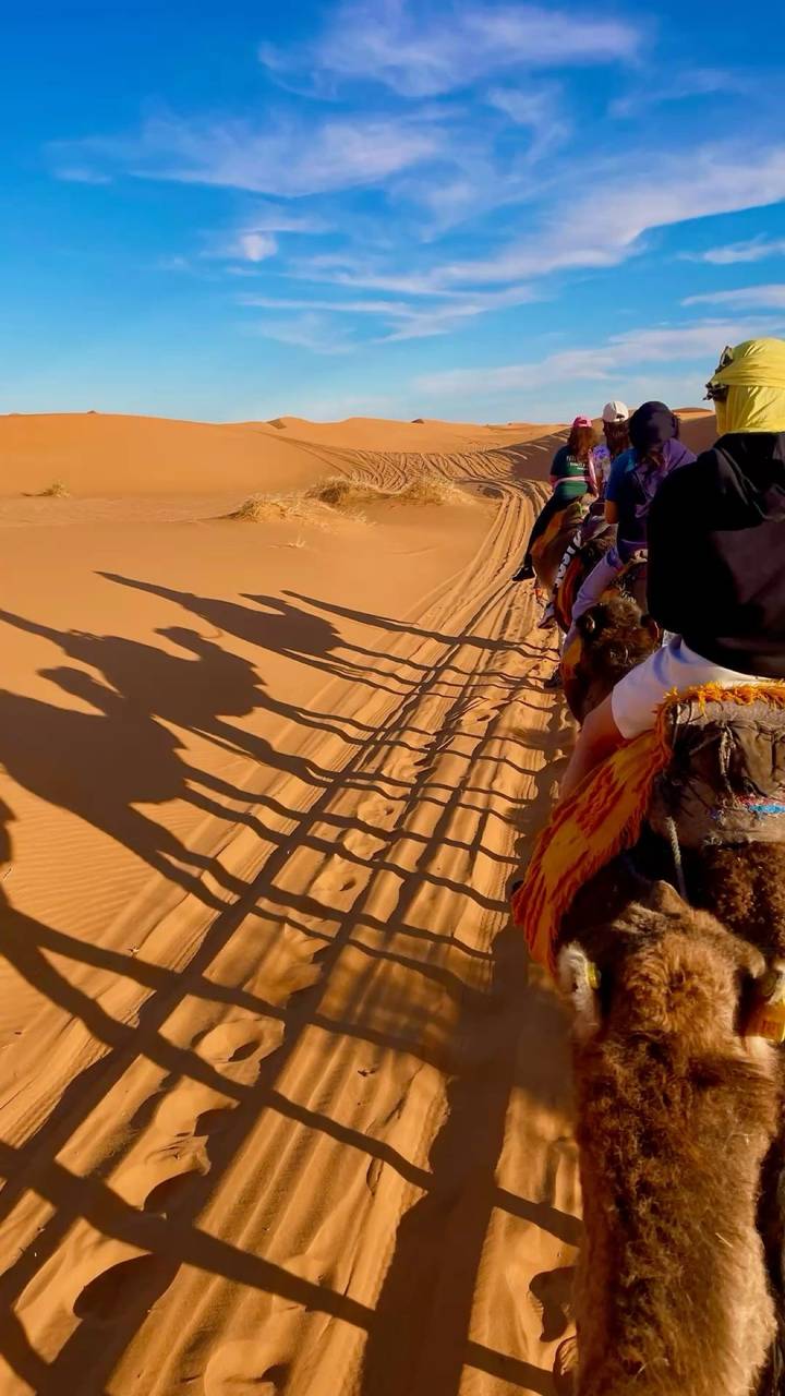 Line of camel riders casting long shadows across golden desert sand beside parallel trek tracks.