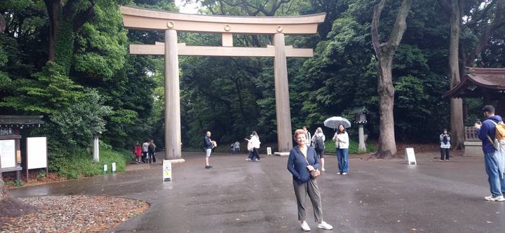 Visitors holding umbrellas at the large wooden torii gate of Meiji Shrine on a wet day.