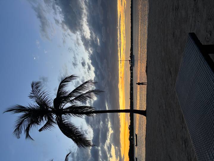 Silhouetted figure stands on a tranquil beach at sunset with a lone palm and anchored sailboat.