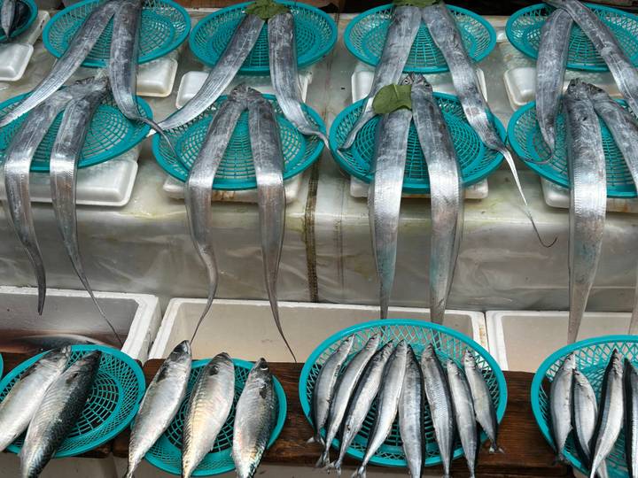 Rows of long silver fish displayed in blue baskets at a seafood market