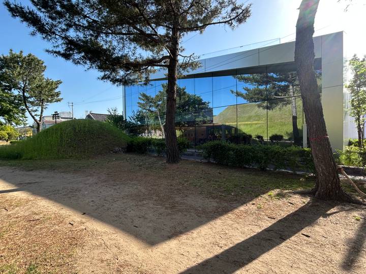 Reflective glass building mirroring green grass mound and trees in a park setting