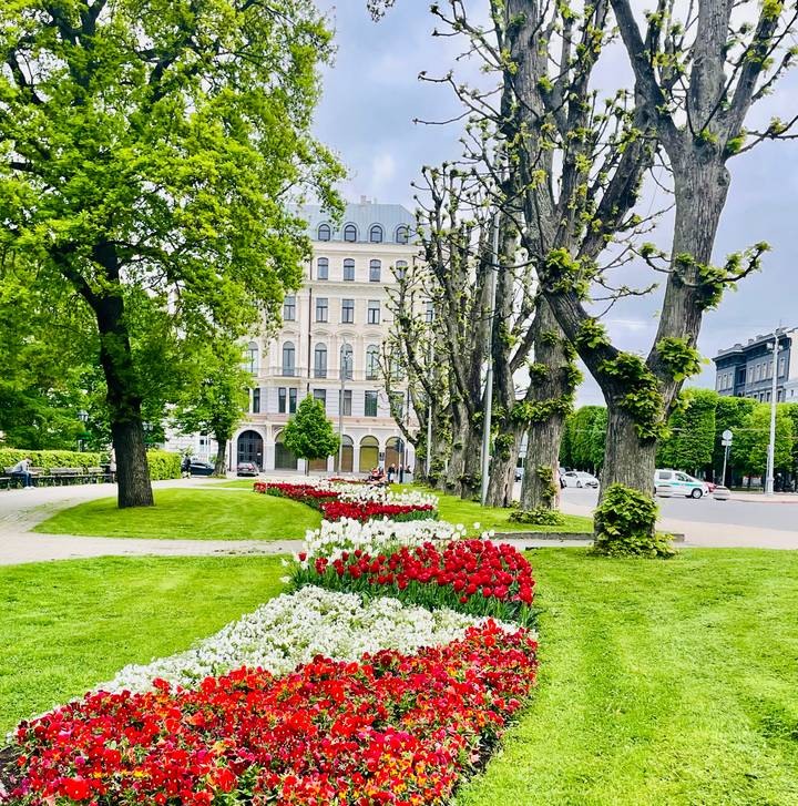 Colourful tulip beds lining a manicured city park with historic facade backdrop.