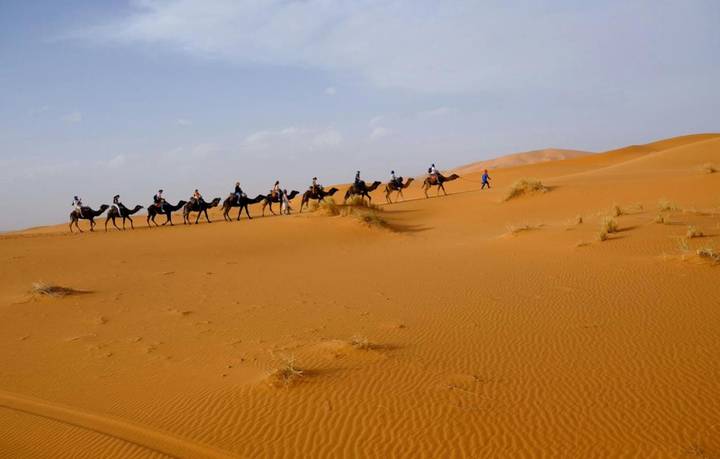 Distant camel caravan winding across sweeping orange dunes.