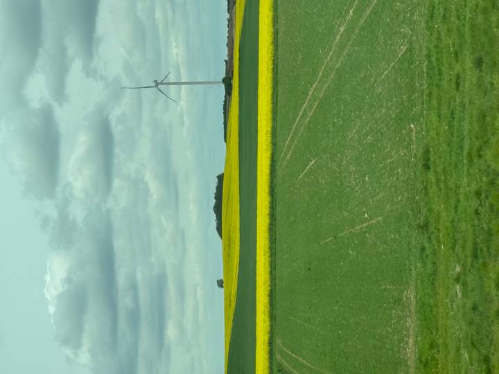Patchwork of green and yellow farm fields with single wind turbine under cloudy sky.
