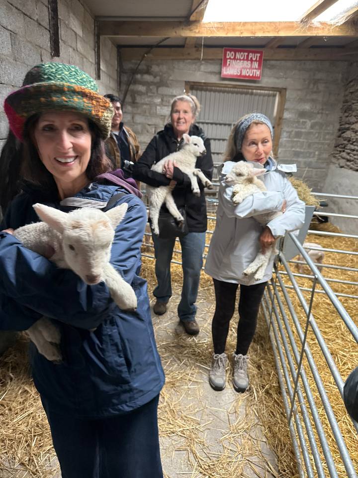 Travellers holding lambs inside a straw-lined sheep shed.