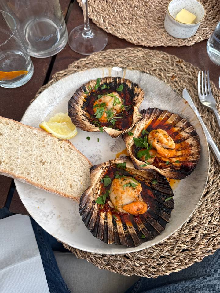 Gourmet plate of chargrilled scallops in shells with herbs, sauce and bread slice.