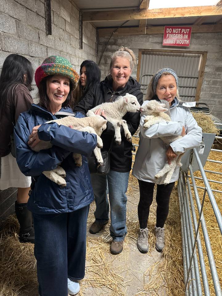 Three visitors smiling while cuddling baby lambs inside a rustic farm pen.