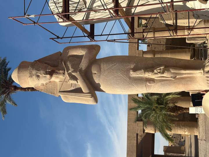 Gigantic ancient sandstone statue of a pharaoh at Karnak Temple with palm tree silhouette.