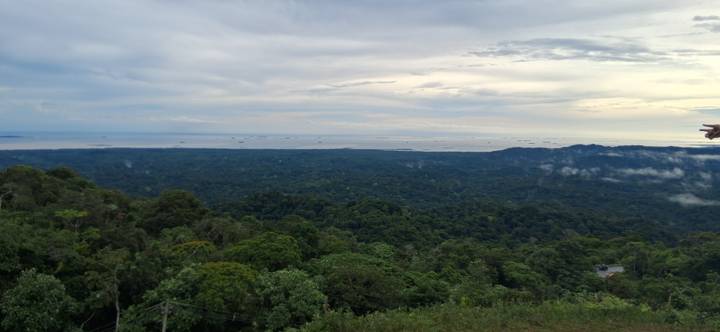 Elevated lookout over dense tropical rainforest stretching to a distant coastline beneath a moody sky.