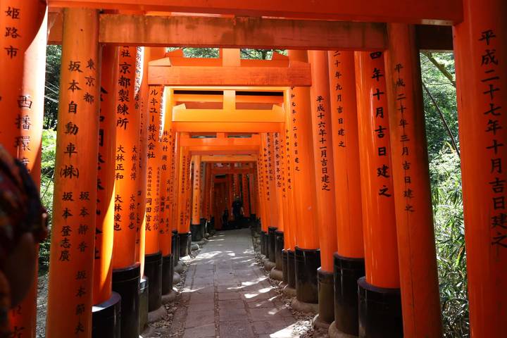 Endless tunnel of bright vermilion torii gates adorned with Japanese calligraphy
