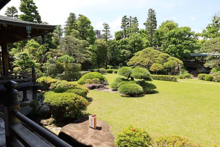 Quiet traditional garden courtyard with neatly trimmed shrubs and expansive lawn