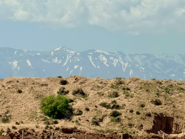 Snow-capped peaks of the Atlas Mountains rise beyond an arid rocky foreground with a single green tree