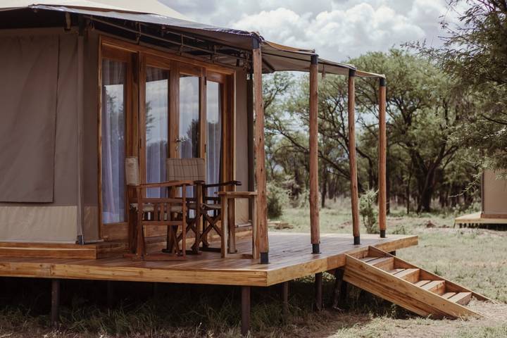 Canvas safari tent on raised wooden platform amid acacia trees in the bush