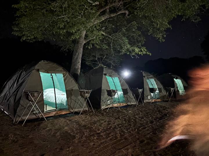 Row of canvas tents lit from within at remote campsite under night sky