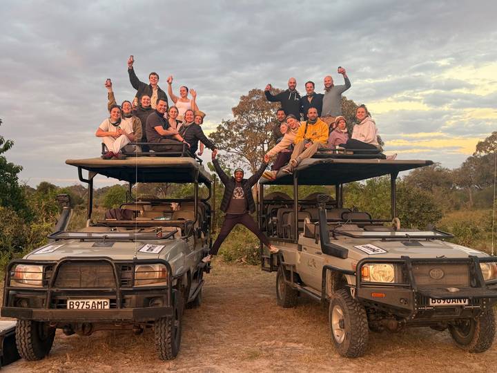 Excited travellers stand and sit atop two open safari vehicles in the bush at golden hour, celebrating together.