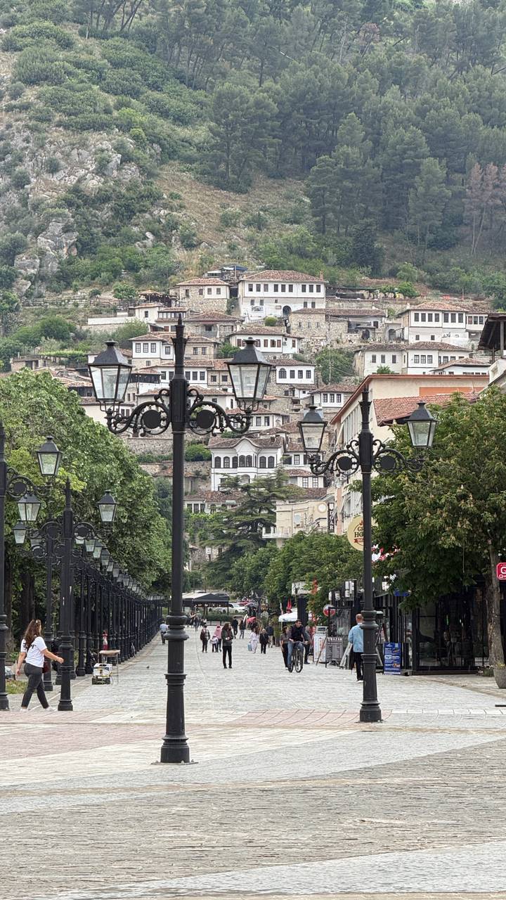 Historic Ottoman houses on a hillside framed by ornate black street lamps and leafy trees.