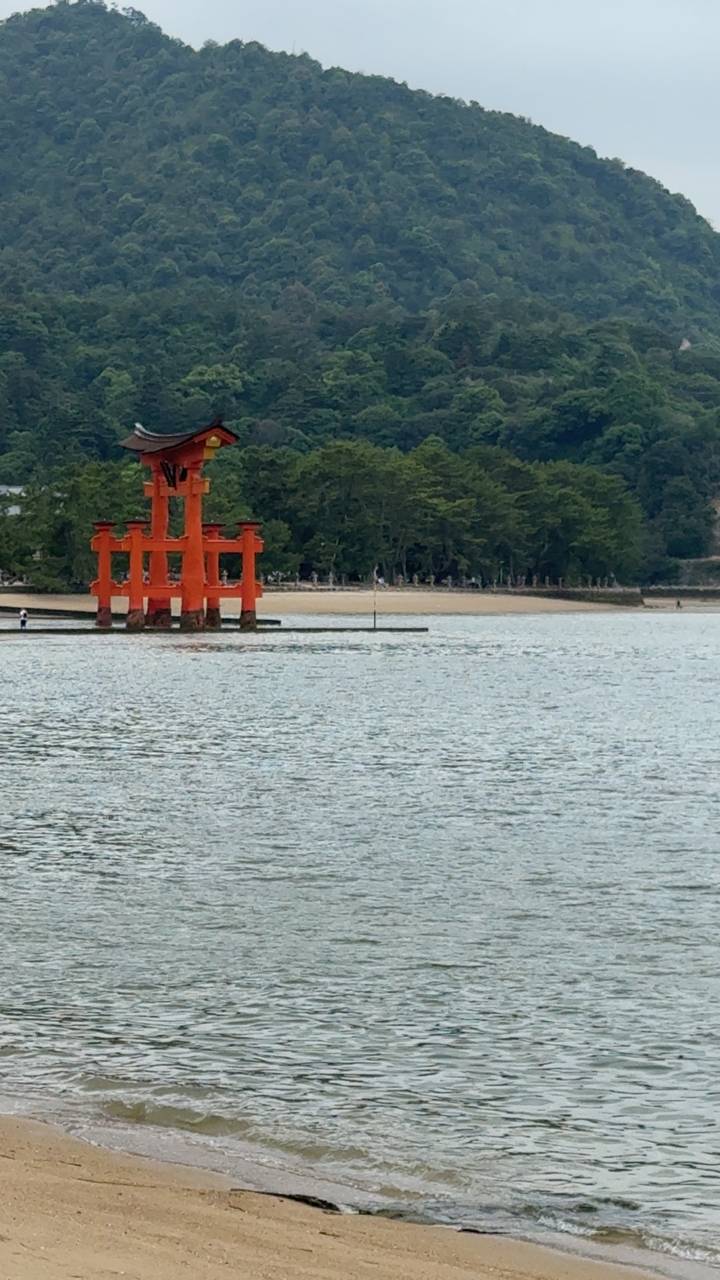Iconic orange torii gate of Itsukushima Shrine standing in the water with forested shore behind.