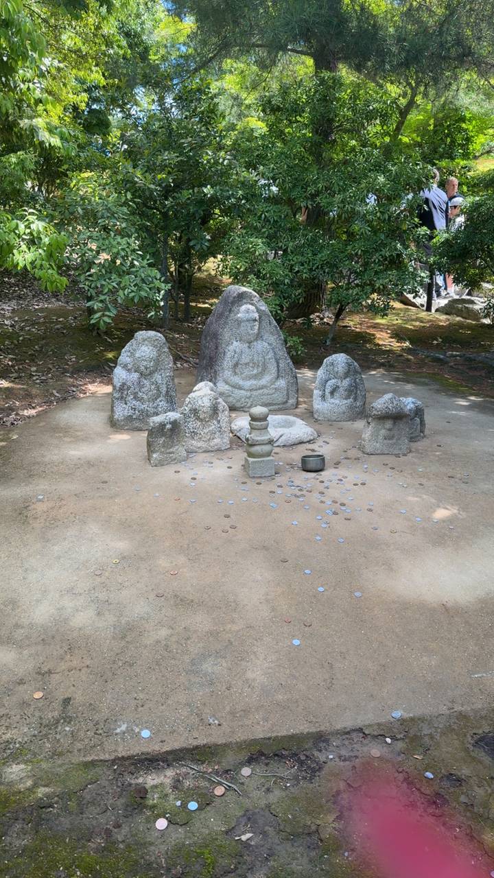 Small stone Buddha statues arranged in a circle with scattered offering coins on the ground in a forest setting.