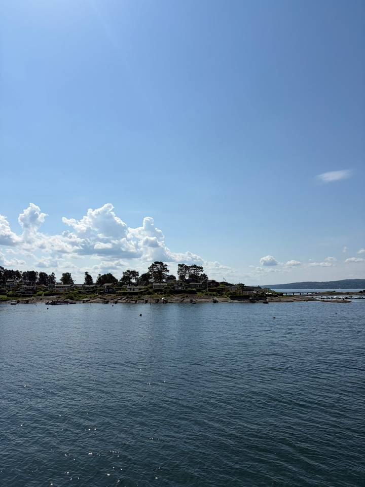 Calm coastal inlet with scattered cottages on rocky islet beneath clear blue sky.