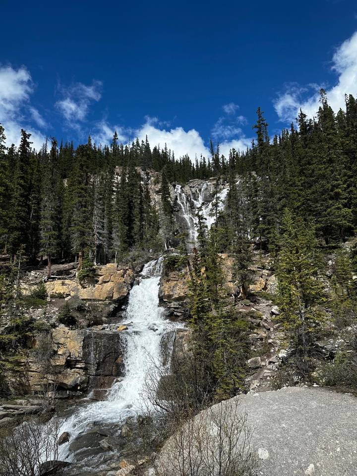 Tall cascading waterfall dropping down a rocky cliff surrounded by dense evergreen forest.