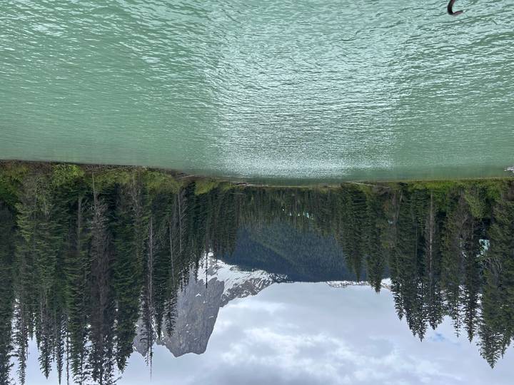 Calm turquoise river leads toward dense evergreen forest and snowy cliffs in the Canadian Rockies.