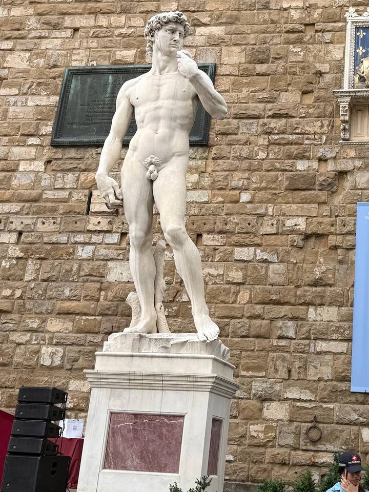 Marble statue of Michelangelo's David standing before a stone façade in Florence.
