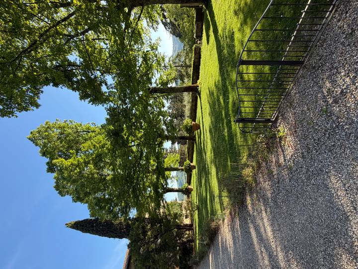 A manicured lawn shaded by tall trees beside a gravel path in a Tuscan estate.