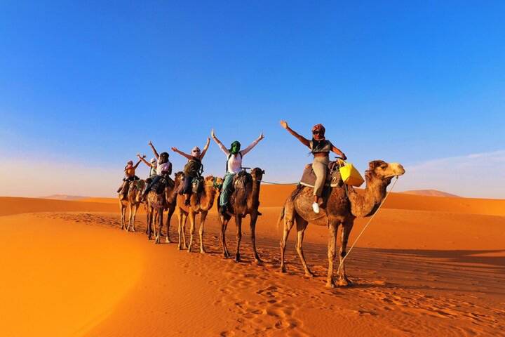 Row of enthusiastic riders on camels raising their arms beneath a bright blue desert sky.