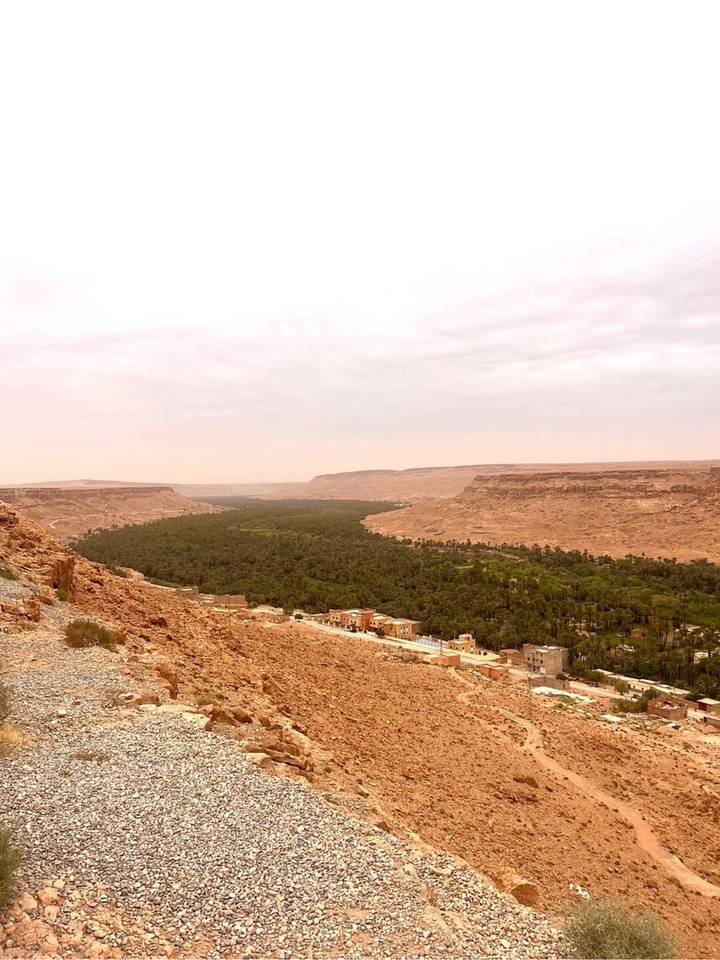 Broad green oasis valley contrasts with surrounding pink desert plateaus under hazy sky.