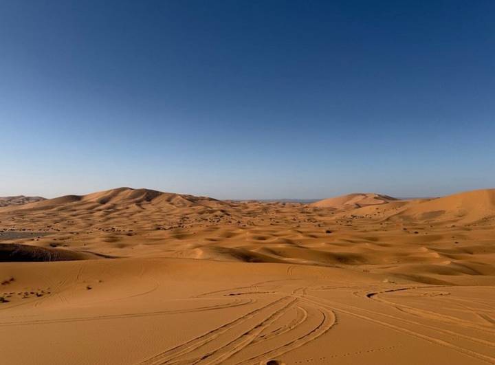 Vast golden Sahara sand dunes rolling beneath a clear blue sky