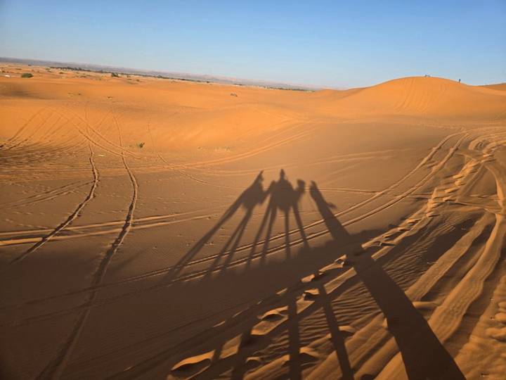 Long shadows of a camel caravan stretch across orange Sahara sand at sunset